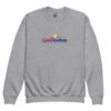 Youth Crewneck Sweatshirt - Learning SPANISH is fun! - The School Locker - Thumbnail Image 3